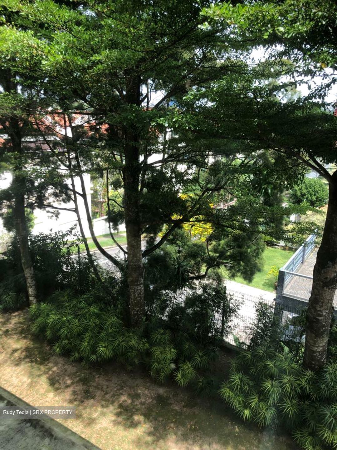 Tanglin Road (D10), Detached #356985961